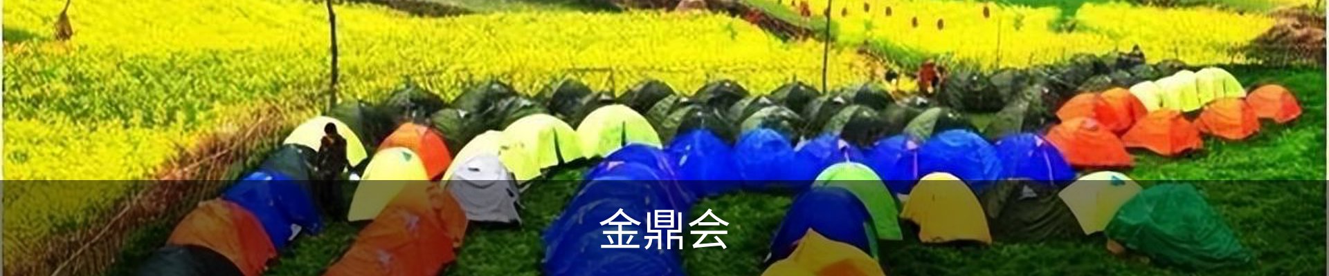 金鼎会